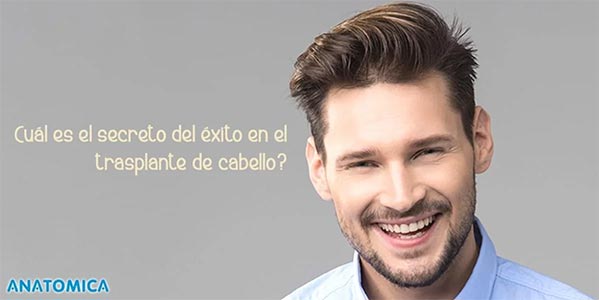Cual es el secreto del exito en el trasplante de cabello Lugo